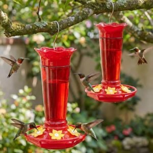 Glass Hummingbird Feeders